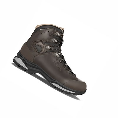 Lowa Camino Evo GTX FG Jagdstiefel Herren Dunkelbraun | ZFJS-27305