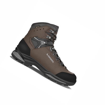 Lowa Camino Evo GTX Winterstiefel Herren Braun Tiefesgrau | WLDV-59423